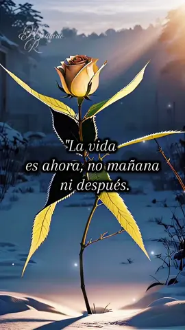 #reflexionesdelavida #amorpropio #frasescortas #verdades #autoestima #reflexion #consejos #frasesdeldia #motivation #frasesmotivadoras #frases_de_todo #amorpropio❤ #reflexionesdiarias #reflexionesymotivación #paratii #fypシ #fyp 