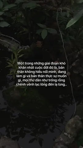 …#tamtrang #story 