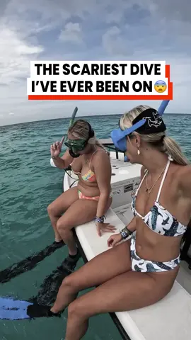 I can't believe what we saw 😳 (@brookegoodmannn) #traveltiktok #travelling #traveltok #travel #diving #ocean #nature #scary #scarytiktoks  Scary diving in the ocean