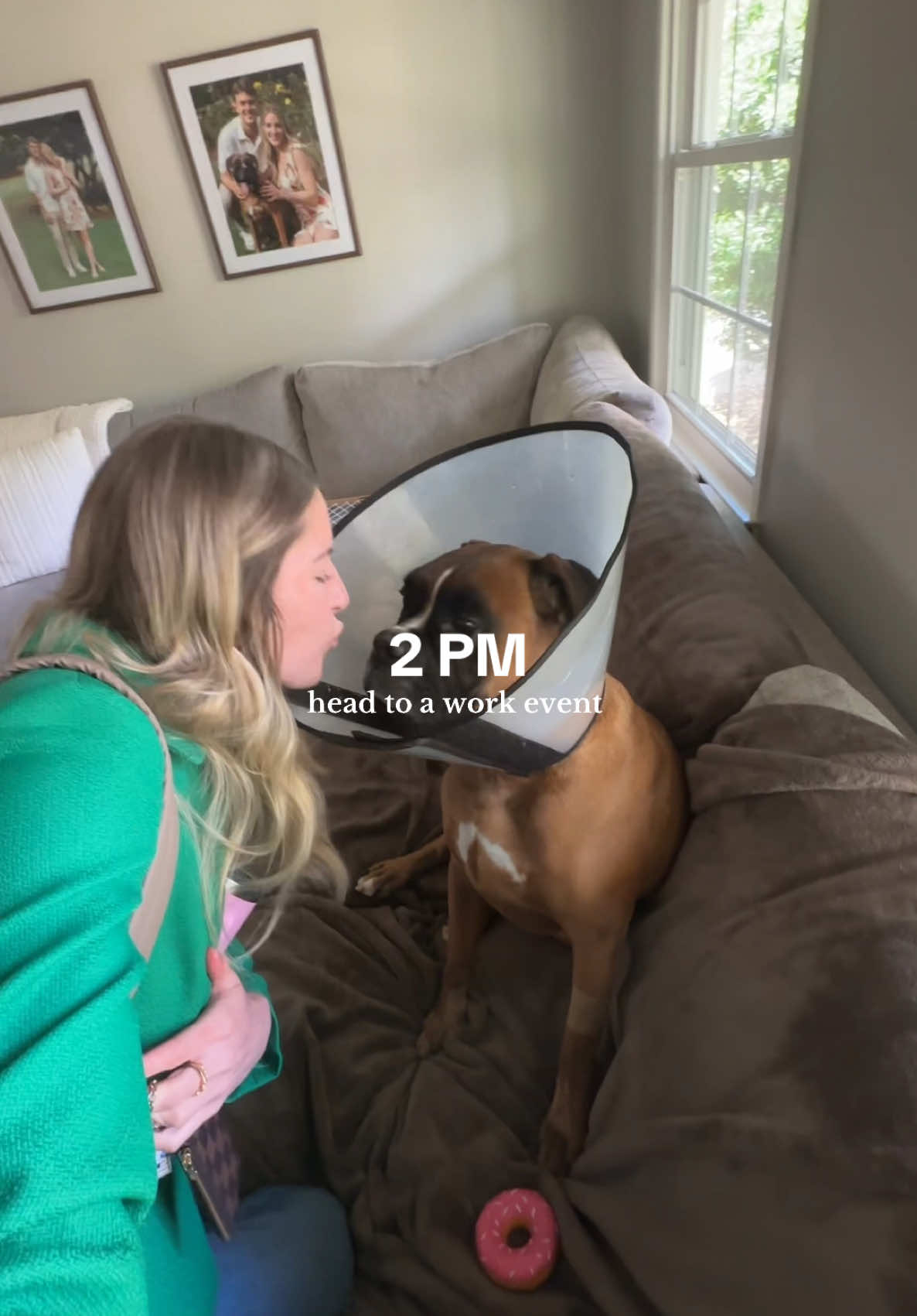 quick Tuesday recap 💼 #brunotheboxer #boxer #morning #dogsoftiktok #raleigh #dog #coffee #work #car #tuesday 