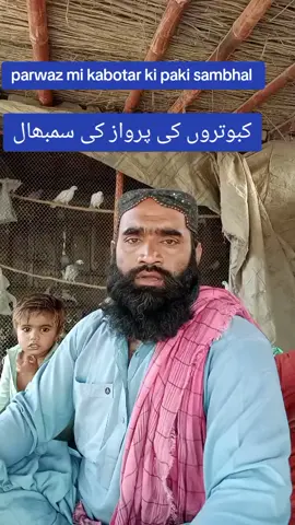 parwaz walle kabotar ki sambhal 