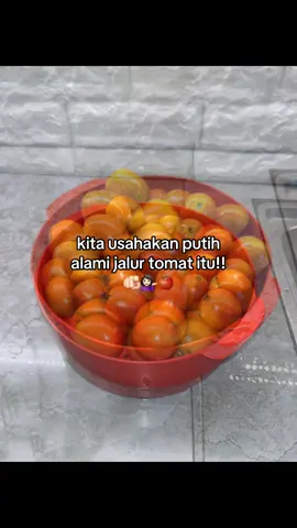 #fyp #tiktok 