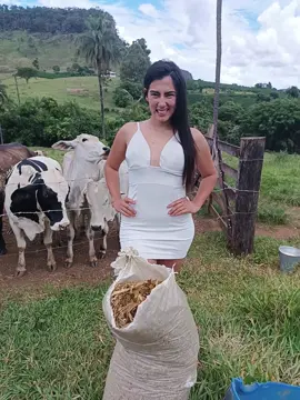 #vidanaroça #zezedicamargoeluciano 