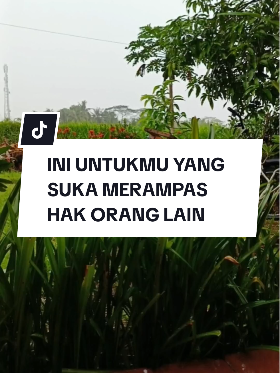 INI UNTUKMU YANG SUKA MERAMPAS HAK ORANG LAIN #katabijak #afirmasi #motivasi #serakah #licik #munafik #npd #murahnikmatlezat #katakata #fy #kehidupan #hidupbebasdrama #fyp #quotes #hidup 