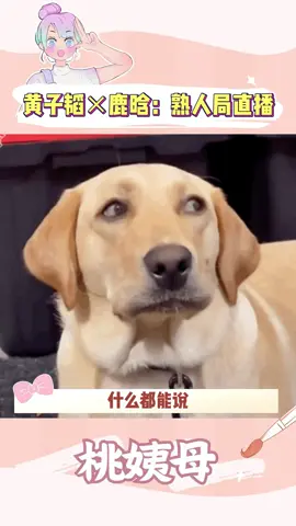 这是真熟人局直播啊 #黄子韬 #鹿晗 #徐艺洋 #搞笑