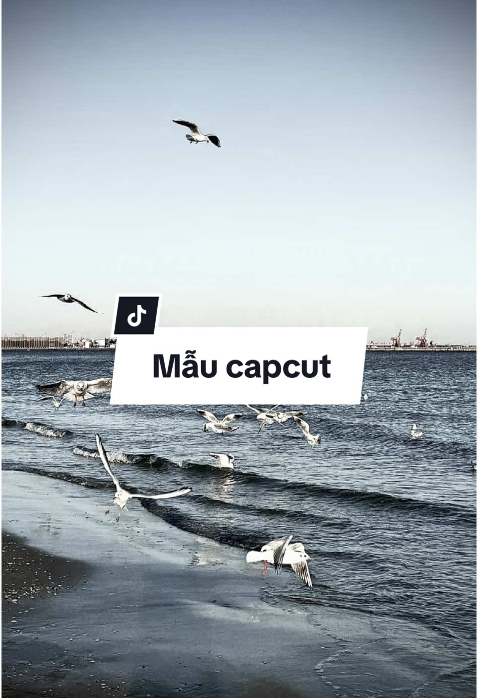 Trend này đang hot thì phải #nhacchaymoingay #maucapcut #motvaidieumuonnoi #trending 