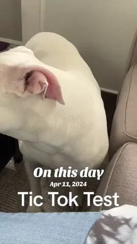#onthisday 