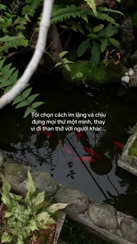 …#tamtrang #story 