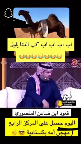 كلام سليم🤣👍#الشعل #الشقح #البدو #الصفر #المجاهيم #باكستان🇵🇰 #المنصوري #مهرجان_الملك_عبدالعزيز_لمزاين_الابل8 #الوضح #مهرجان_الملك_عبدالعزيز_لمزاين_الابل7 #اكسبلورexplore #الوضح #اكسبلورexplore #الفحول_المنتجه 