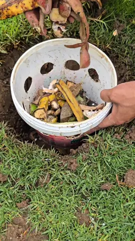 Learn to make an underground compost bin step-by-step. Perfect for recycling waste and nourishing plants. #Composting #OrganicGarden #Recycling #SustainableAgriculture #HealthySoils 