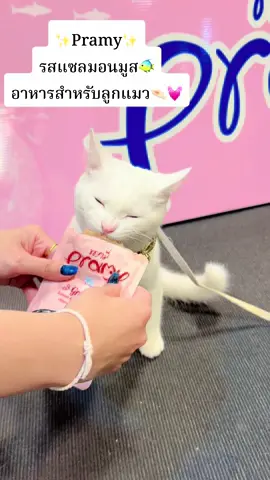 เมื่อลูกไปเดินงานแมว🐈 เจอเปียกPramy ✨แล้วจะรอไรละ🤏🏻💓 เอ็นดูไม่ไหว🥰🥰 #อิแมร๊ต้องได้หิ้วเปียกกลับบ้านเพิ่ม🤣🤣#pramy #อาหารเปียกแมว #อาหารเปียกพรามี่ #ʕ•ᴗ•ʔ🐱  