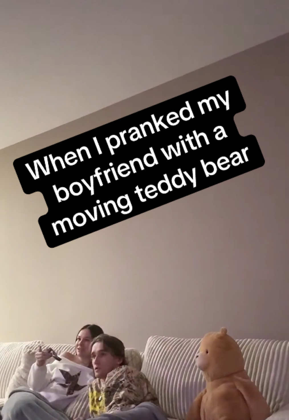 Ready. Teddy. Go. 🧸teddy #prank #teddybear #couch #scary 🎥: @sarah.lupica @pconnorq