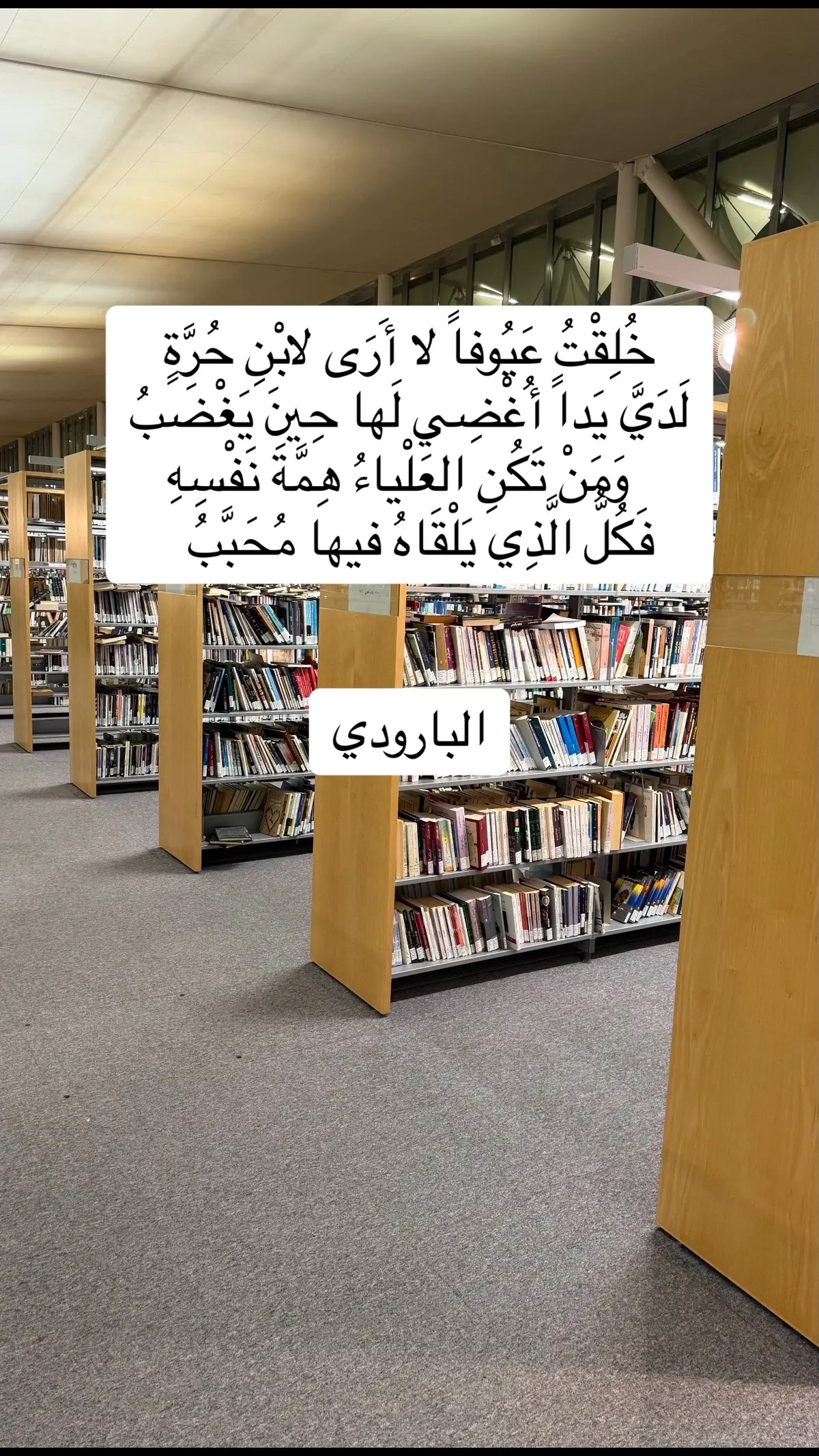 #اكسبلور #explore #أدب #فلسفة #فصحى 