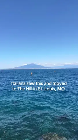 #stl #stlouis #thehill #italian 