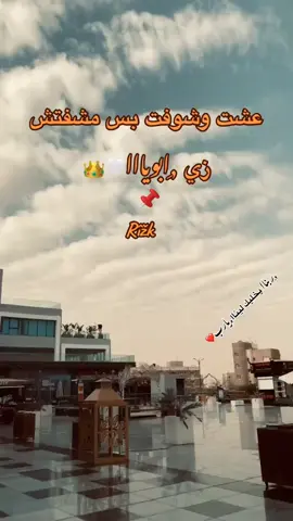 عشت وشوفت بس مشفتش زي ابويااااااااااا🤍🤍👑👑# #ترند_تيك_توك #الزعامه_هنا #حالات_واتس #تصميم_فيديوهات #CapCut #❤️‍ #💔 #العراك #CapCut 