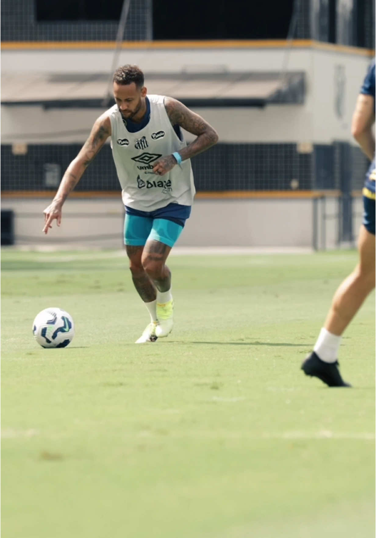 Training day 