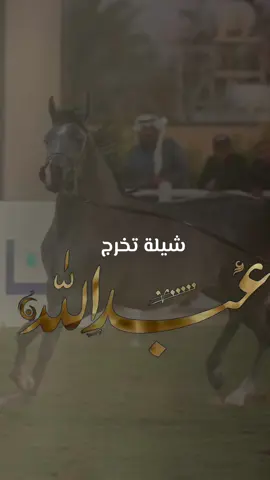 #شيلة تخرج باسم عبدالله 2025 شيله تخرج عبدالله - اداء فهد العيباني #شيلة_تخرج #شيلات_تخرج #تخرج 