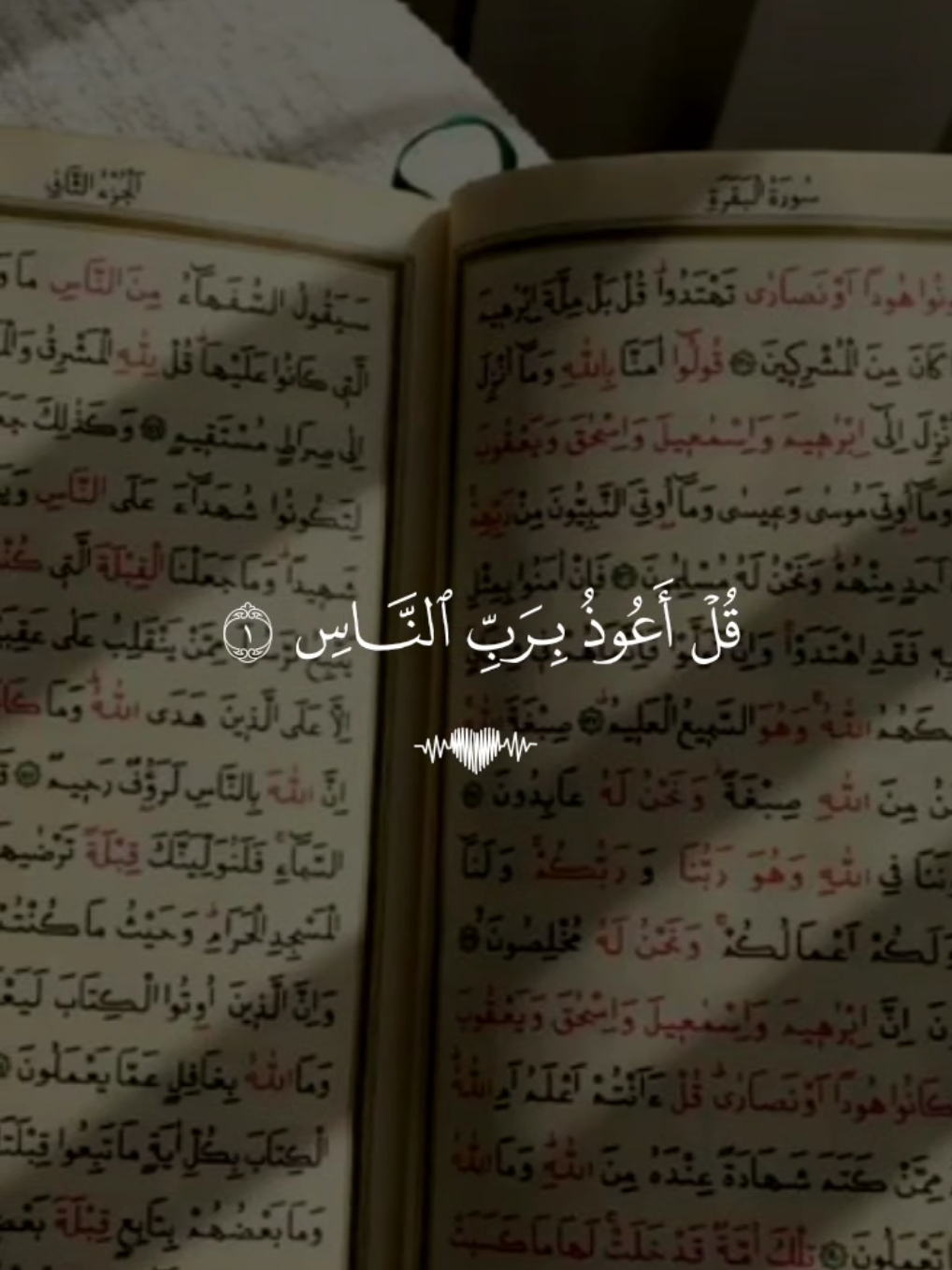 سورة الناس 🤍 #قران #عبدالرحمن_مسعد #quran #قران_كريم 