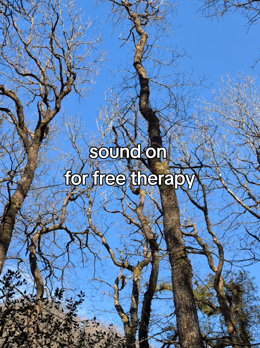 there are few things I love more than this  #spring #birdsong #nature #devon #dartmoor #asmr 
