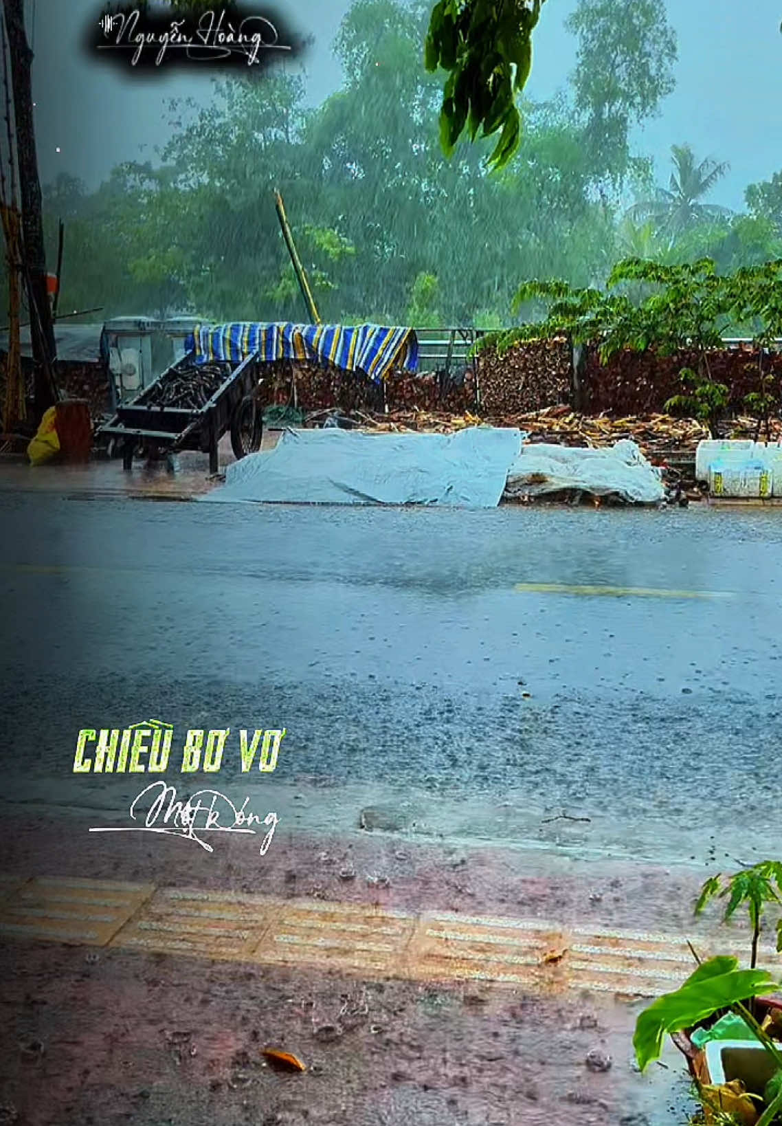 Thứ bảy mưa rơi nhiều chiều bơ vơ một bóng #nhachay #nhacnayhay #nhactamtrang #nhactamtrangbuon💔 #nhacnaynghelanghien #nhacnaychillphet #xuhuong2024 #xh #fyp #lyrics #quetoi067 