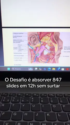 Hoje eu vou brincar 😏 #humor #Medicina #fy #rotinamed #universitario #EstudanteDeMedicina 