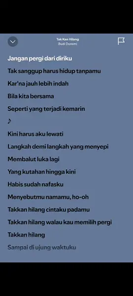 #lyrics #spotify #fullsong #budidoremi #takkanhilang #fyp 
