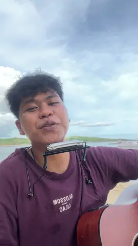 Country Roads - John Denver #countryroads #johndenver #cover #harmonica #guitar #countrysong #accoustic #beach #fyp #foryou #foryoupage #classic #70s #takemehomecountryroads 