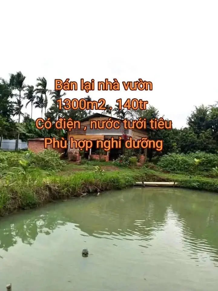 #xuhuongtiktok2025 #nhavuongiangop #vuonnghiduong #nghiduong #bdsnhavuon #daigiabds #nhavuongiare