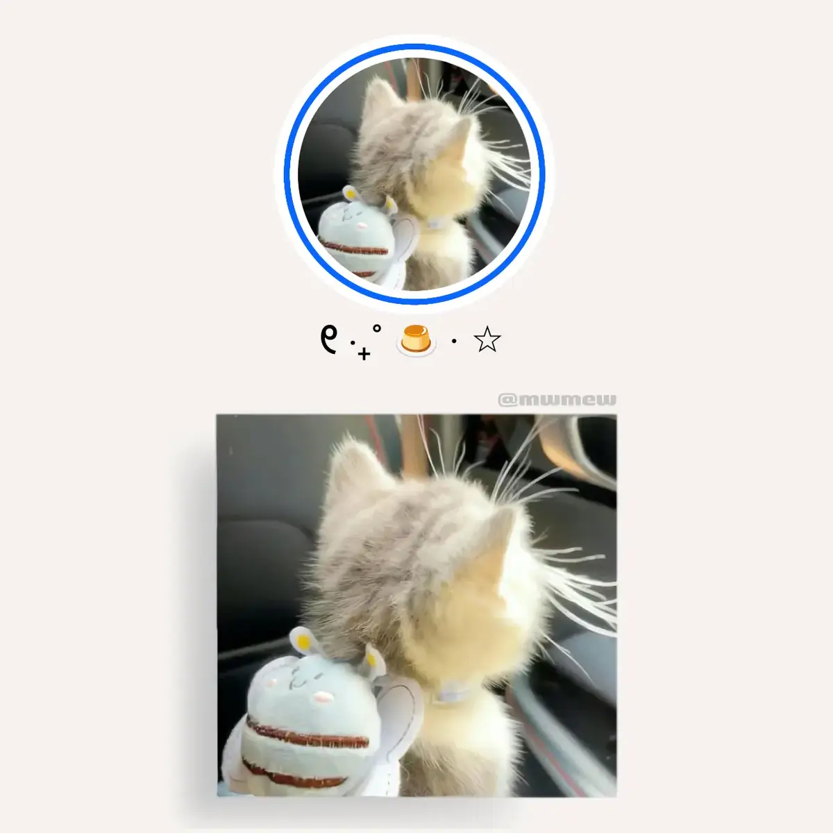 cre : pin@˙ ✩°˖🍓 ⋆｡˚꩜ #cat #kitty #foryoupage #foryou #fyp #cutie #pfp #avt #viral #virall #xh #xhhhhhhhhhhhhhhhhhhhhhhh 