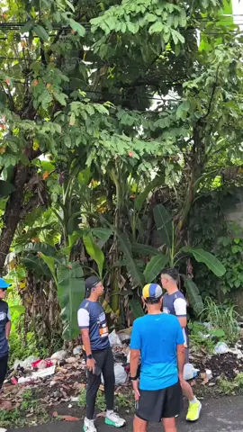 Bersama Membangun Kota yang Bersih! Sambil berlari saya sekalian meninjau TPS liar di beberapa titik tempat, ternyata masih banyak yang buang sampah sembarangan. Pemerintah Daerah dengan Program Tasik Resik nya, sebagai bentuk ikhtiar mengajak masyarakat untuk #biasainbersih sebagai gerakannya, agar Kota Tasik menjadi Resik. Kabar gembira juga untuk masyarakat yang mempunyai keluhan terkait permasalahan di lingkungannya, bisa menghubungi CS Gerak Cepat 112, respon nya cepat dan langsung ditindak lanjuti. #gerakcepat #TasikResik #biasainbersih @Viman Alfarizi Ramadhan @Berita Diky Chandra 