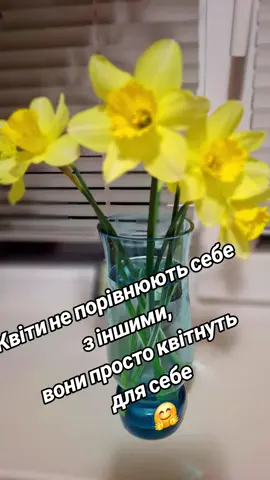 #весна