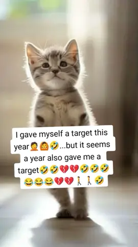 #fyp
