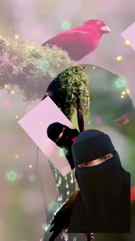#ethiopian_tik_tok🇪🇹🇪🇹🇪🇹🇪🇹 #muslim #oromotiktok #asmr 