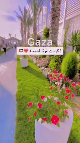 #غزة_العزة🇵🇸 #حرب_غزة_فلسطين_اسرائيل #شوارع_غزة_الجميلة🥀 #بيانكو_غزة 