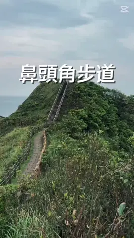 🌿 鼻頭角歩道（Bitoujiao Trail）— TSTで行く、海と自然の絶景トレイル 台北だけが台湾じゃない！新北市にある鼻頭角歩道は、断崖絶壁と大海原が織りなす絶景スポット。潮風が心地よく、自然の中でリフレッシュできます。 🌊 海のパノラマビュー 🍃 爽やかな風 ⛰️ 都会を離れた癒しのひととき 🚗 TSTツアーの専用車サービスで快適にアクセス。 📸 写真スポットでの立ち寄りも自由自在。 🧡 ストレスフリーな旅をサポートします。 #鼻頭角歩道 #台湾の自然 #台湾旅行 #台湾穴場 #TSTツアー #台湾貸切車 #日帰り台湾 #台湾の絶景 #台湾観光