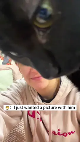 Interesting behavior of cats😹😹#cat #funny #catsoftiktok #cats #for #foryou #fyp #foryoupage #funnyvideo #cute #pet #cutecat #animal #animalsoftiktok #usa🇺🇸 #catlover #funnycat #tiktokcats #pets #kitten #funnyanimals