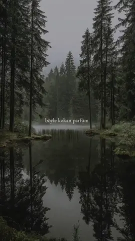 #parfüm #parfümönerisi #fragrance #fragrancetiktok #koku #trfragrancechannel 