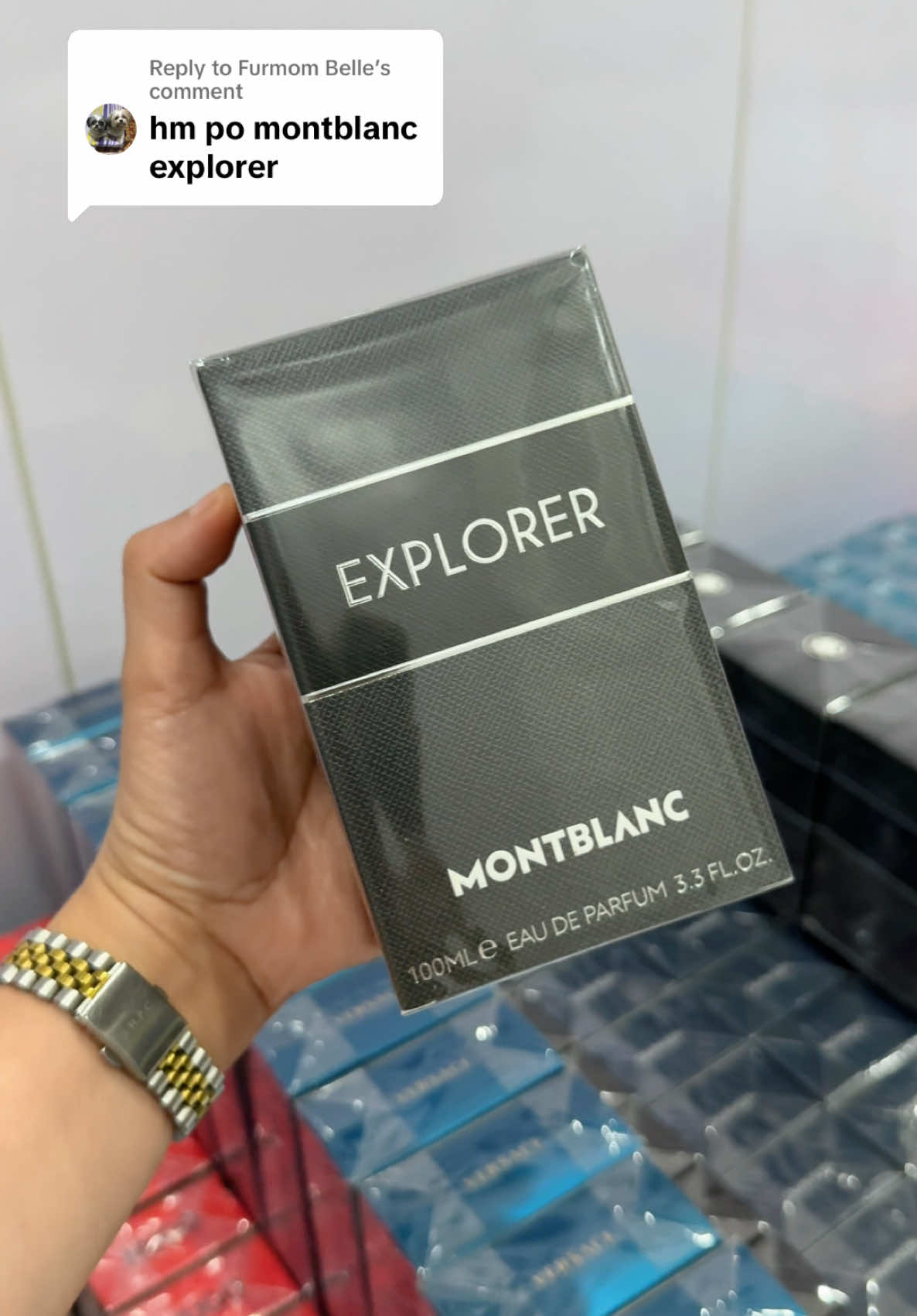 Replying to @Furmom Belle #explorer #montblanc #montblancexplorer 