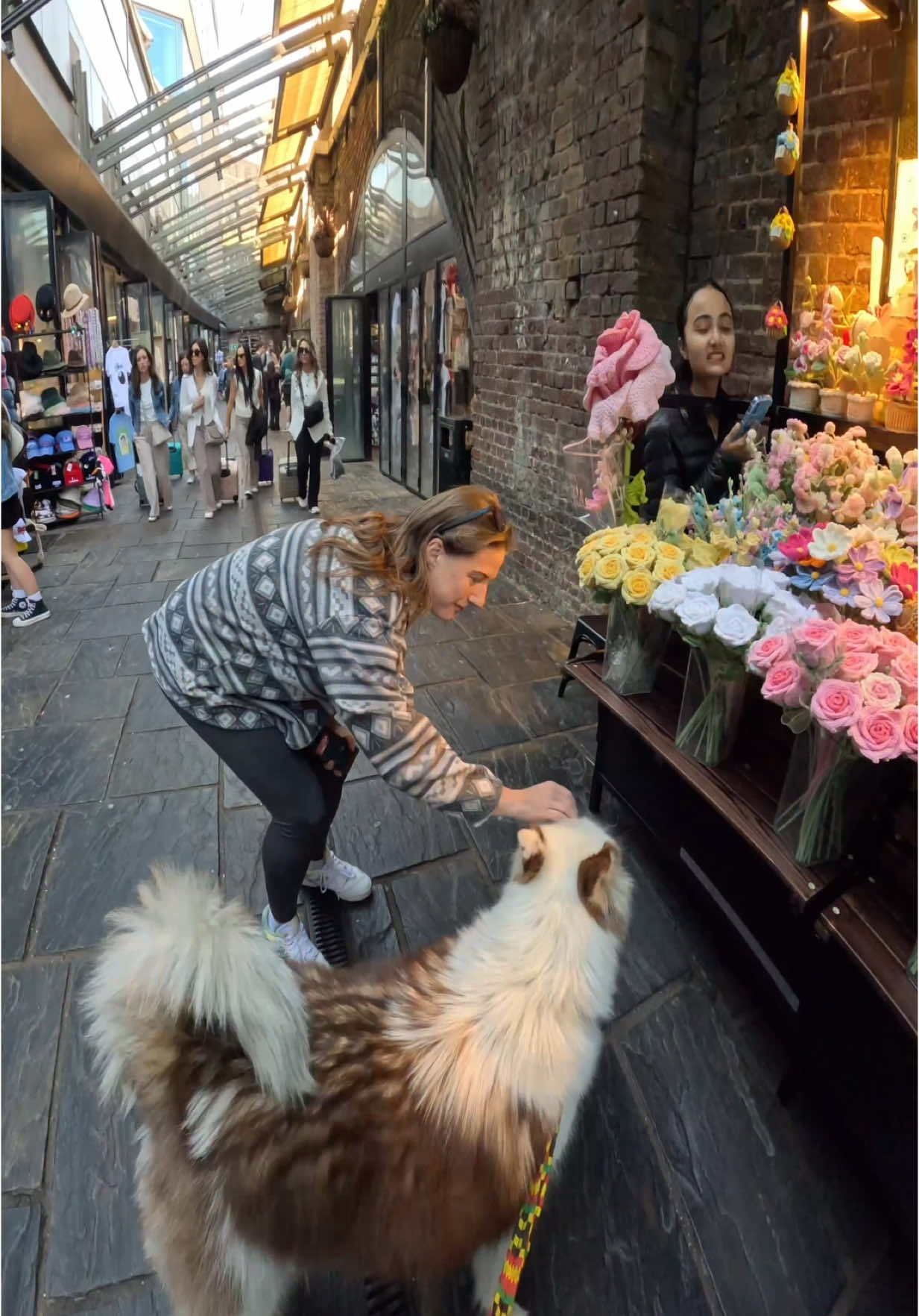 Interactions with my dog!!  #husky #viral #fyp #doglover #dogs #foryou #camden #london #foryou 
