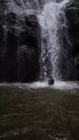 Nature at its finest 🍃 #tamilsong #nature #waterfall #tamilstatus #mountain 