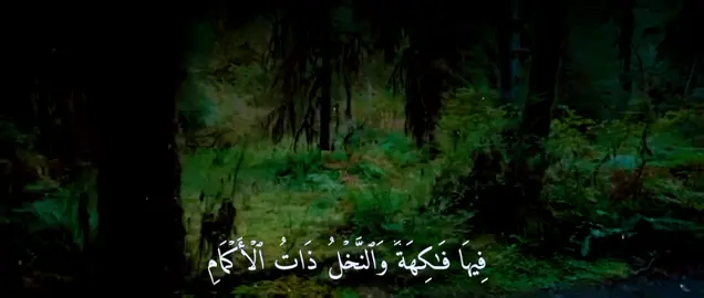 #قران_كريم #الجوالي🖤 #Ramadan2025 #الشعب_الصيني_ماله_حل😂😂 #الجوالي #قران #قران_كريم #CapCut #الشعب_الصيني_ماله_حل😂😂 