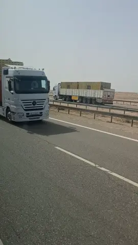 @زغلول @مقتدى حسن 