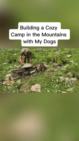 Building a Cozy Camp in the Mountains with My Dogs#camping 