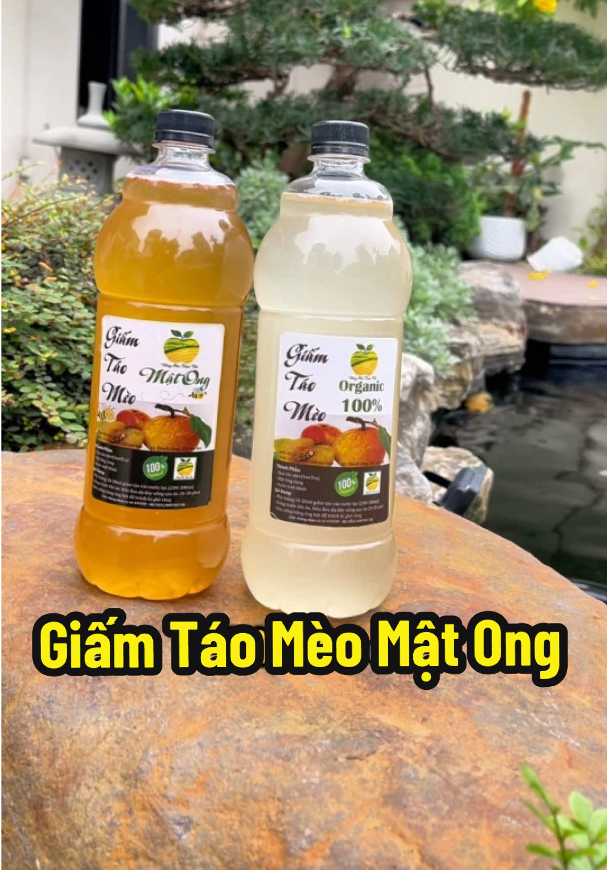 Trạm Tấu #ducnoidung #giamtaomeo #matong #nongsantramtau #baithuocdangian #depda #thanhloccothe #suckhoe #giadinh #timmach #tieuhoa #tangcuongsucdekhang #xuhuongtiktok2025 #giadung #ConSantanderConecto 