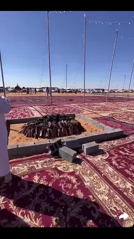 العشاء اليله حيكم الله 