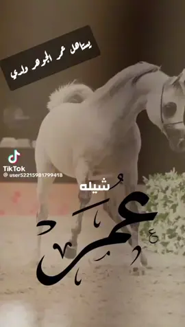 ياعمر  شيلة  اسم ولدي عمر الله يحفظه يارب # 