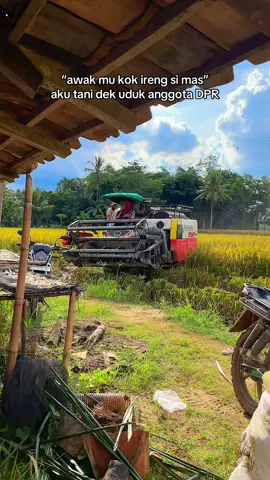 piye arep puteh kerjone wae neng lahan #fyp #fypシ #lampung #kubotadc70plus #combineharvester #lampungselatan #operatormuda #padibalap💪🏻🌾 