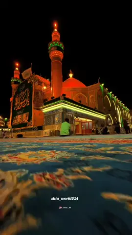 Ya Ali Ali🫶🏻❤️‍🩹🌍🕊 . .. #janumaliali #yaali #janumyaali  #molaalimushkilkhusha #noha #shiastatusvideo #islamic_video #shialabeouf #alishanawar  #yaalikashmeraeshqasardikhlae #trendingnoha #peerali #yaaliع  #fyp  #trendingvideo  #foryoupage❤️❤️  #goviral  #fyppp 