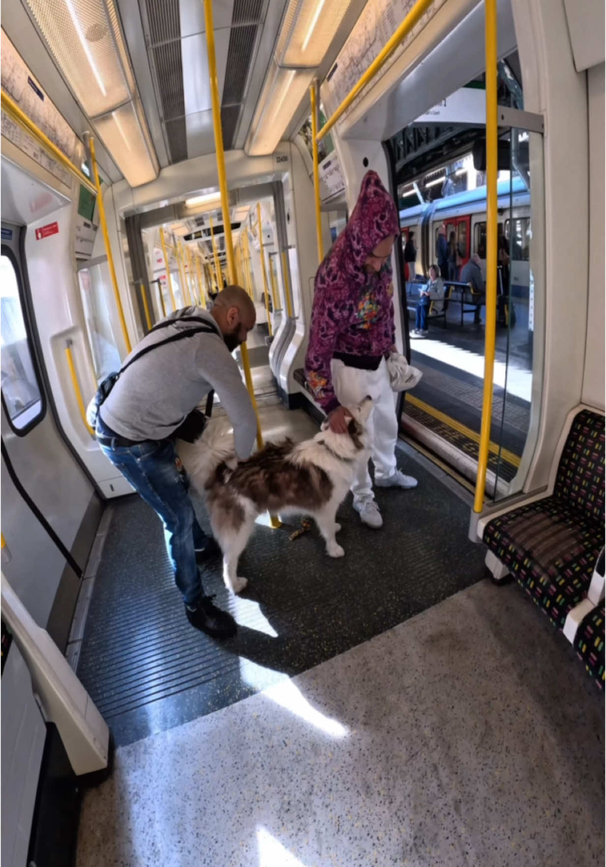 Train interactions with my dog!!  #trains #subway #viral #pets #fyp #doglover #subway #tube #london 