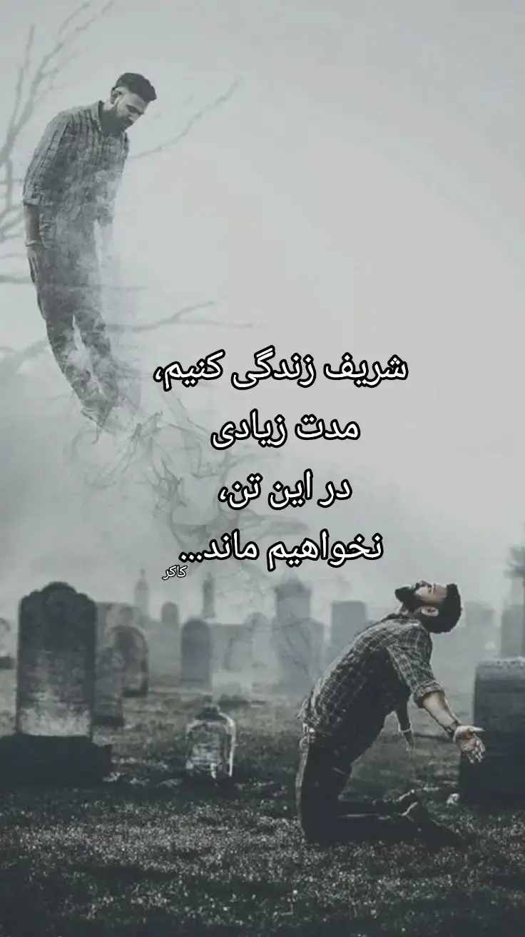 #zabikakar #viral #foryou #foryoupage❤️❤️ 